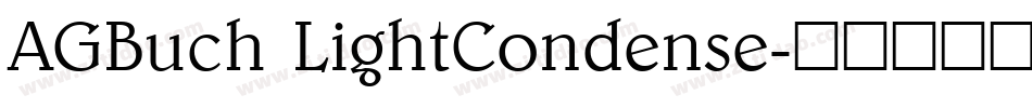 AGBuch LightCondense字体转换